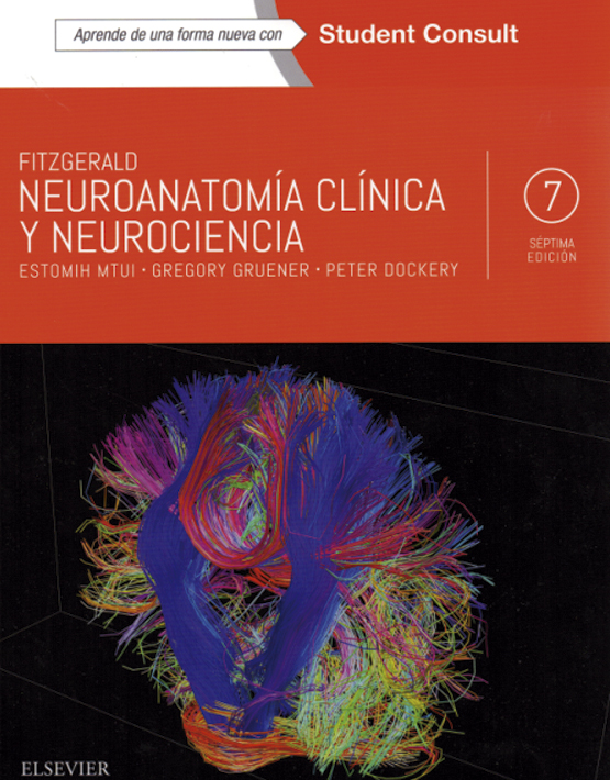 Fitzgerald. Neuroanatomía clínica y neurociencia 