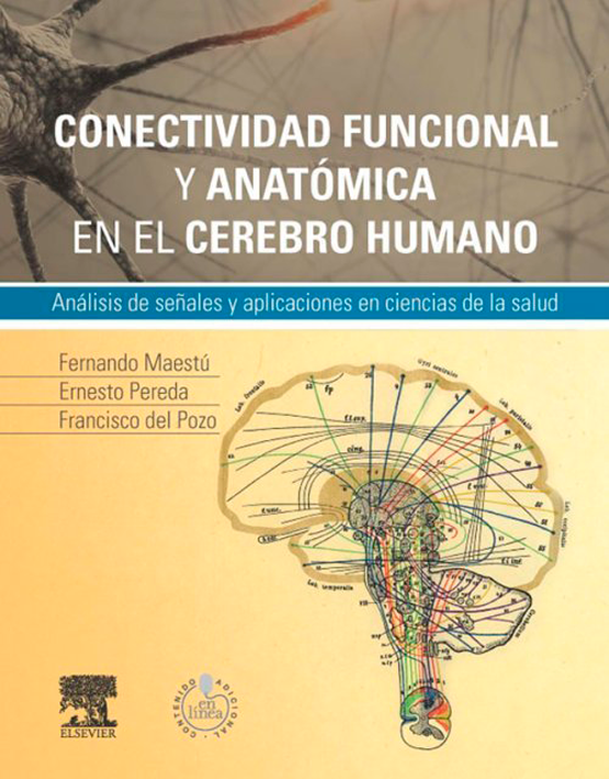 Conectividad funcional y anatómica en el cerebro humano