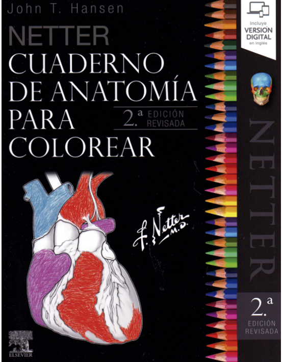 Cuaderno de anatomía para colorear