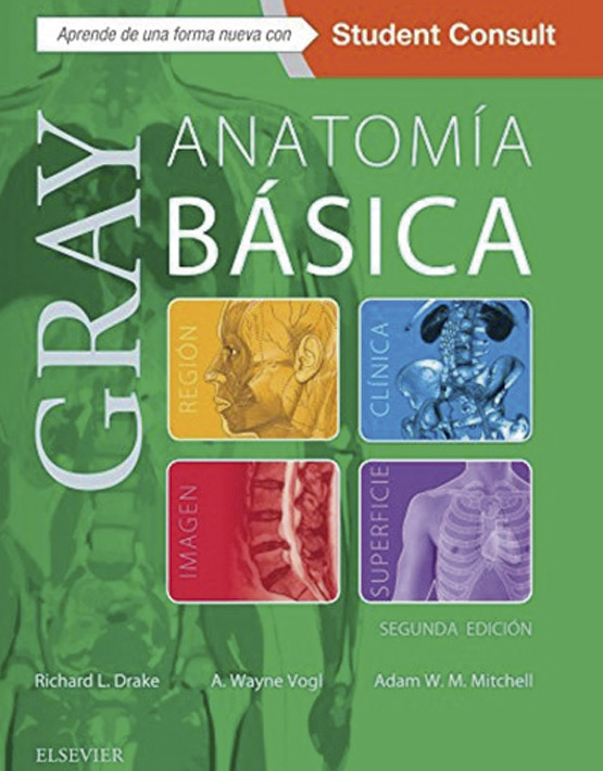 Gray. Anatomía Básica+ Student Consult