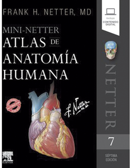 Formato Pequeño- Mini Netter. Atlas de anatomía humana