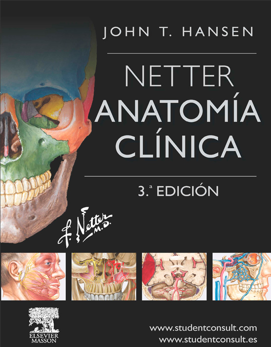 Netter Anatomía clínica