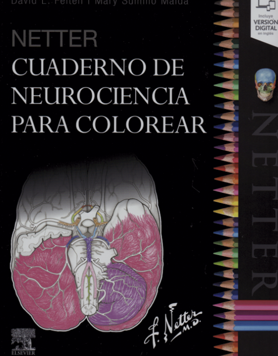 Netter Cuaderno de Neurociencia para Colorear