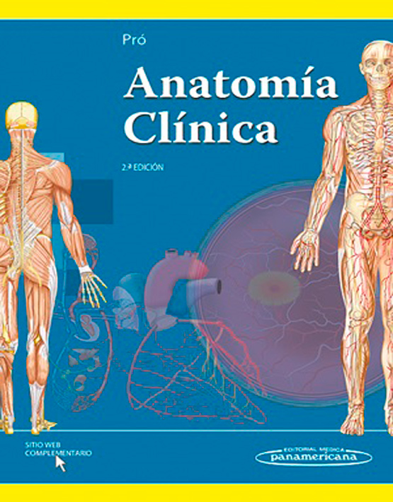 Anatomía Clínica 