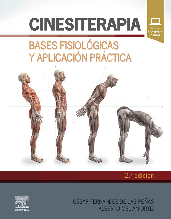 Cinesiterapia: Bases fisiológicas y aplicación práctica